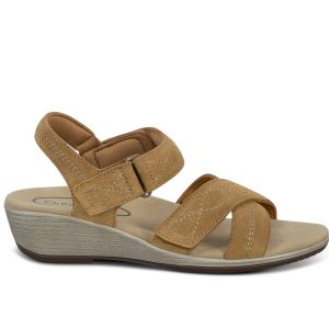 Holly - Camel