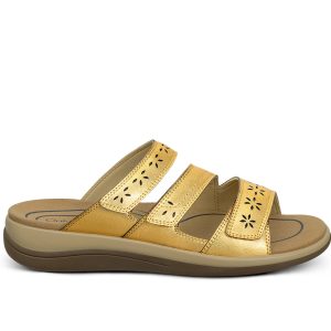 Sahara - Gold
