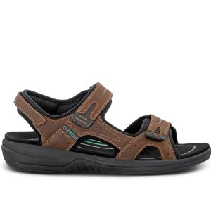 Gemini - Brown